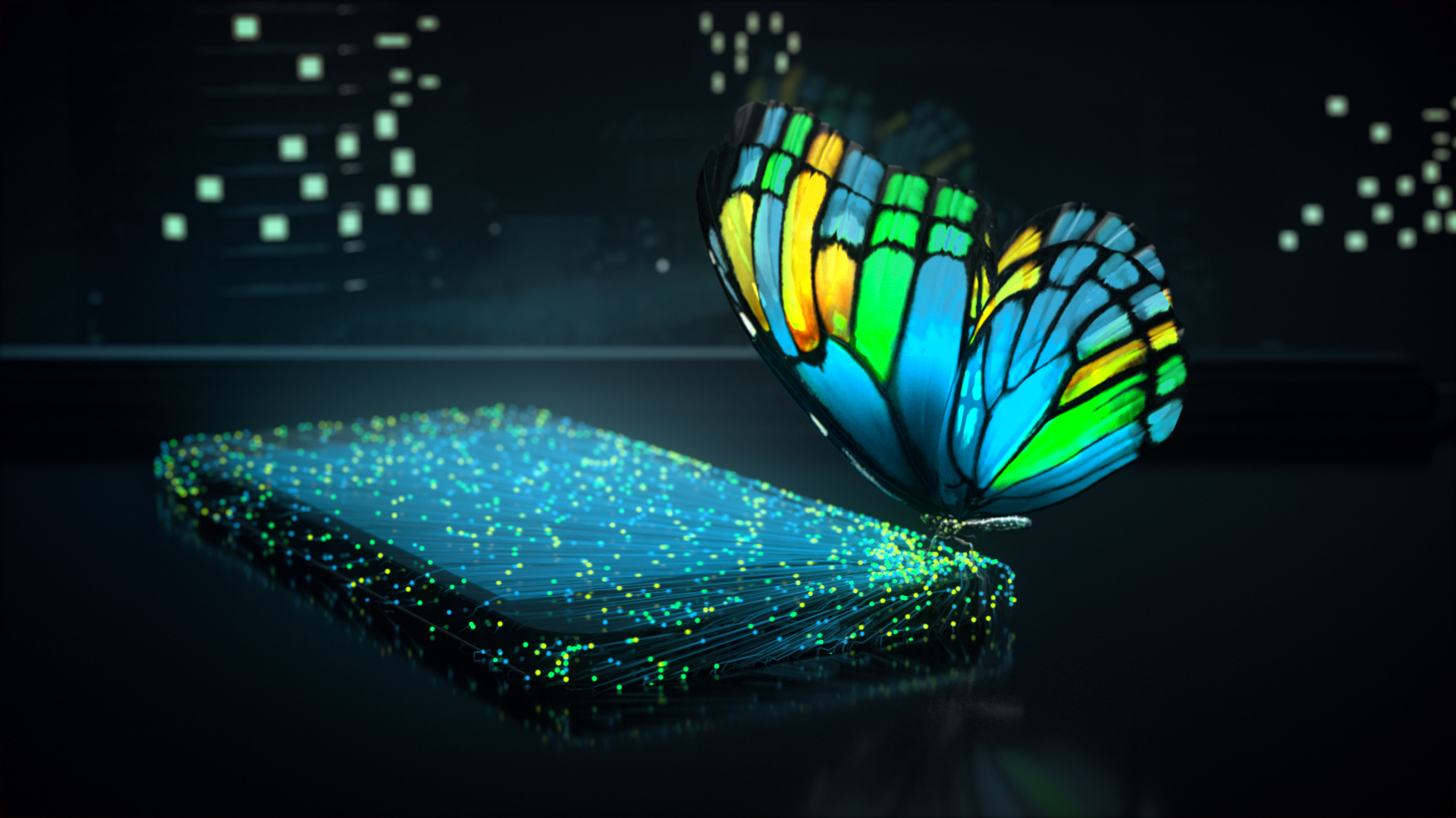 Fly_with_data
